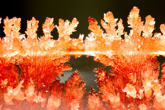 A macro photograph of vividly red, lab-grown crystals, showcasing their intricate geometric patterns and sparkling texture.