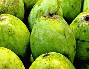 Green Mango Front Focus with Mango Blur Background