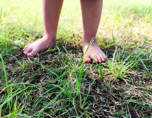 Barefoot Child Standing on Lawn Earth Energy Therapy