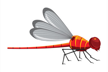 Vector Dragonfly Illustration. Colorful vector dragonflies with detailed wings on white background.