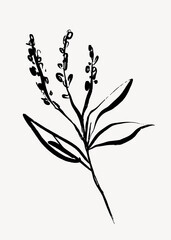 Flower ink brush, aesthetic line art