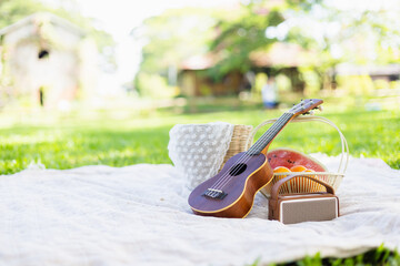 Picnic setup on blanket with ukulele, basket of fruit, and portable speaker creates leisure concept...