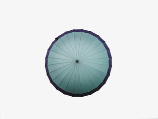 The white background in the picture is a pastel green plastic umbrella with a black edge. The...