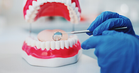 Dentist, tool and hands with mouth model for medical check, teeth hygiene or dental health. Tooth...