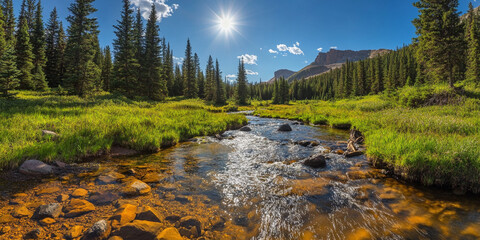 Clear stream flows near forest edge in sunny green valley