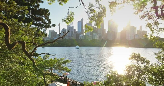 Australia, Sydney: Warm sunlight reflect on water, city skyline modern buildings in background, framed by green lush trees window, creating scenic urban nature view. Drone footage. Travel background