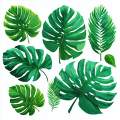 Autumn Leaves Border Design , white background cut out PNG