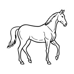 Hand drawn horse outline illustration 