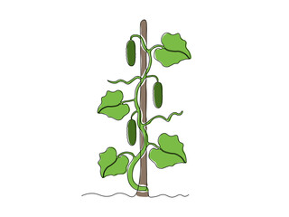 Abstract cucumber bush in the garden,on the farm,agriculture,cottage. continuous single one line art drawing sketch, logo