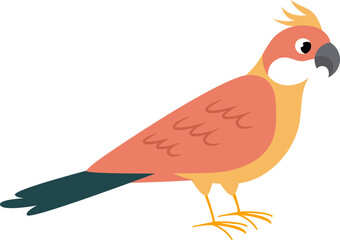 Avian Cartoon Illustration