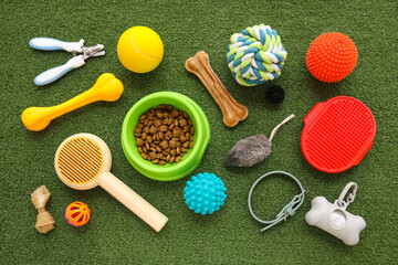 Bowl with dry food and different pet accessories on green grass background