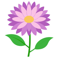 Aster Flower Silhouette