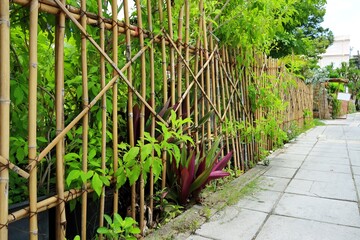 Fototapeta premium Bamboo fence and trees along city sidewalk