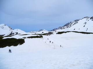 観光名所立山黒部アルペンルートの室堂の雪原と観光客の姿