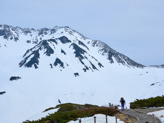 観光名所立山黒部アルペンルートの室堂の雪原と観光客の姿