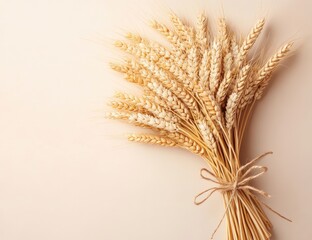 A bunch of golden wheat stalks tied with twine, set against a pale peach background