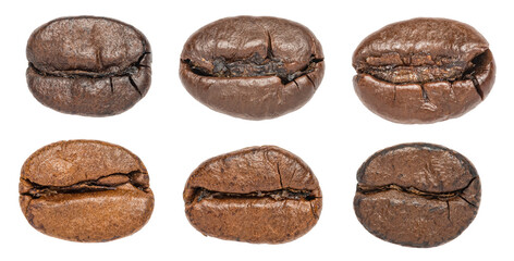 Set of isolated roasted coffee beans, macro flat lay view from above with fine details on transparent png background