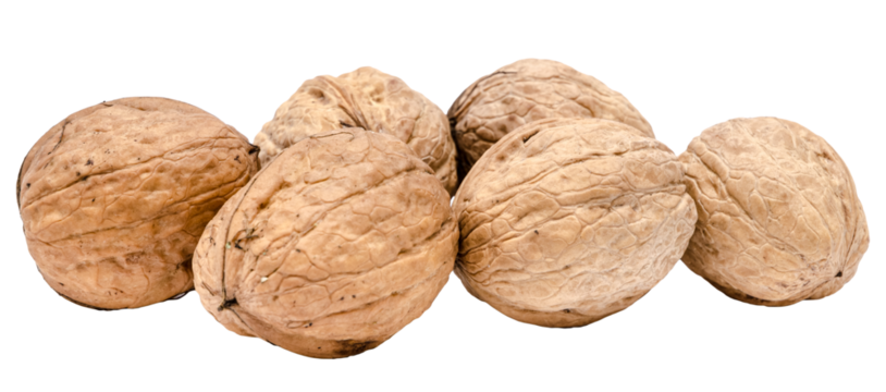 Close-up of many unopened closed walnuts on transparent png background