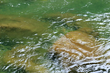 冷たい川の流れ