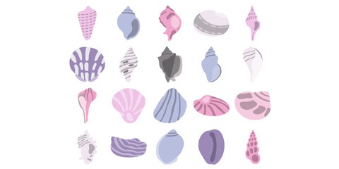 Sea Shell