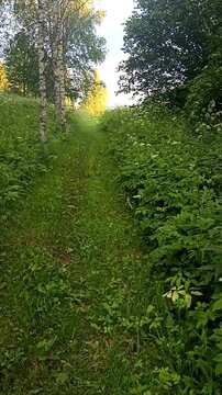 Road outside the city. Scenic ascent. Beautiful evening landscape