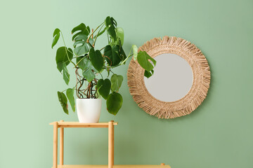Table with houseplant and stylish mirror near green wall, closeup