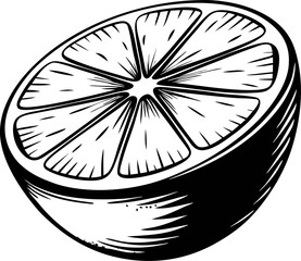 Vintage hand drawn citrus lemon half isolated on white background, detailed black and white engraved illustration