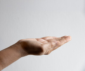 White background woman open palm gently isolate showing gesture sign captures human interaction relaxation calm touch symbol connection beauty communication people fingers natural light.