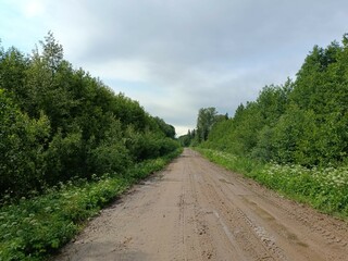 Road in forest in Siauliai county during cloud summer day. Oak and birch tree woodland. Cloud day...