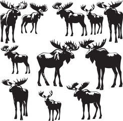 Moose Vector In Black and White