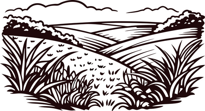Hand drawn landscape illustration with hills, fields, grass, and clouds in vintage engraving minimal black lines