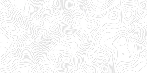 Minimal gray white topographic contour line background with soft elevation.