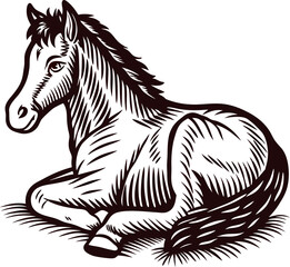 Fototapeta premium Hand drawn vintage illustration of a sitting horse engraved woodcut sketch of a resting farm animal