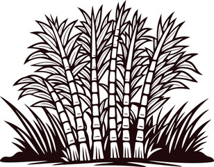 Obraz premium Hand drawn ripe sugarcane stalks bundle with leaves isolated on white background, botanical sketch illustration