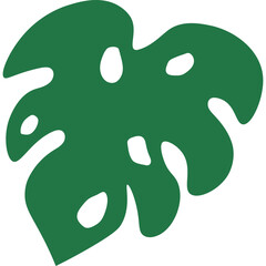 Tropical Monstera Leaf