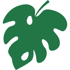 Tropical Monstera Leaf