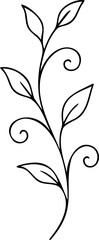 Elegant black vine with leaves and swirls illustration scalable
