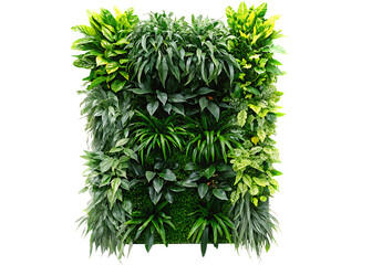    a organic wall art  isolated on white background PNG ,ai generated