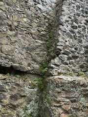 Close-up of an old stone wall corner with moss and small plants growing in cracks. Applicable in architecture, restoration, game design, and texture modeling.