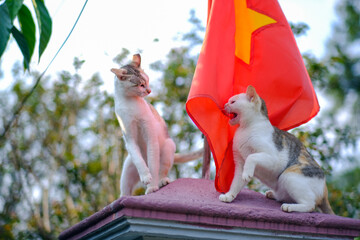 Exploring Hue's precious ancient relics preserved through centuries