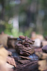 Witnessing the spectacular fireworks display illuminating Han River