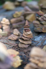 Witnessing the spectacular fireworks display illuminating Han River