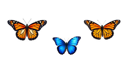 Obraz premium Set of colorful butterflies isolated on white background
