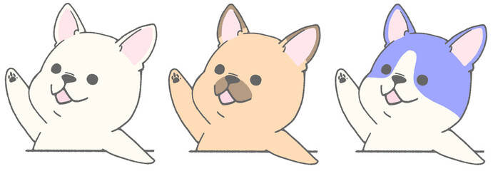 Cute French bulldog raising hand 2