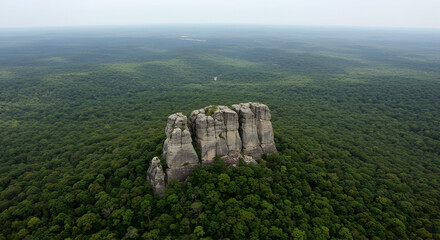 Majestic Rock Formation in Lush Green Forest Aerial View