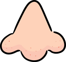 Illustration of nose

