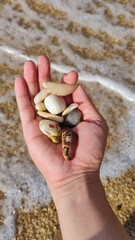 Witnessing the spectacular fireworks display illuminating Han River