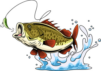 Red Fin Bass Fish Cartoon Character Jumping Toward Green Lure - Vector Hand Drawn Illustration Isolated On Transparent Background