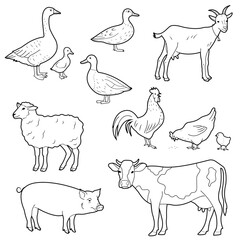 Set of farm animals and poultry. Outline illustration, isolated on white background, design elements or page of children's coloring book