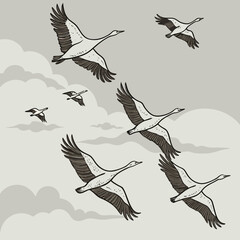 Obraz premium A flock of cranes soars gracefully through a cloudy sky in a monochrome illustration style image
